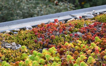 the cost of Little Sampford green roof installation