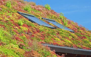 Little Sampford living roof systems