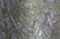 Little Sampford fibreglass roof work